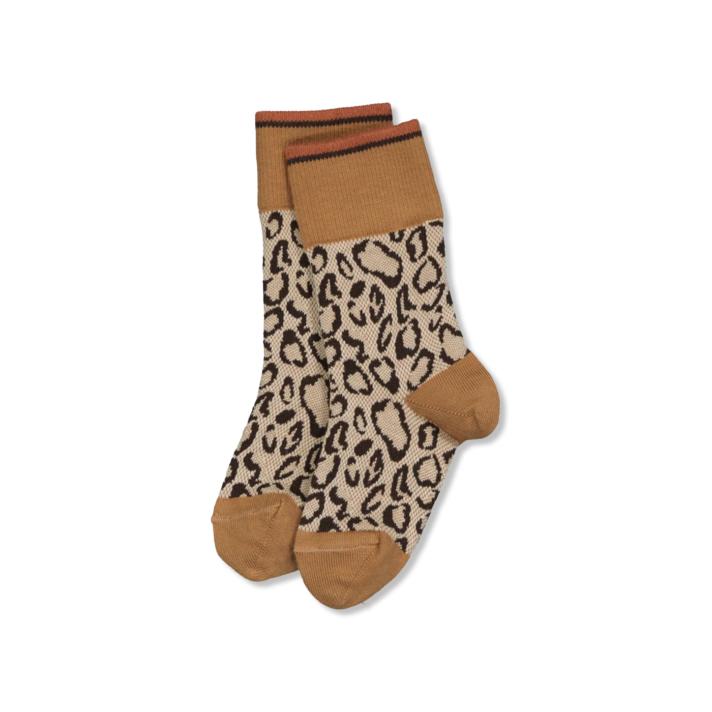 Leoni socken