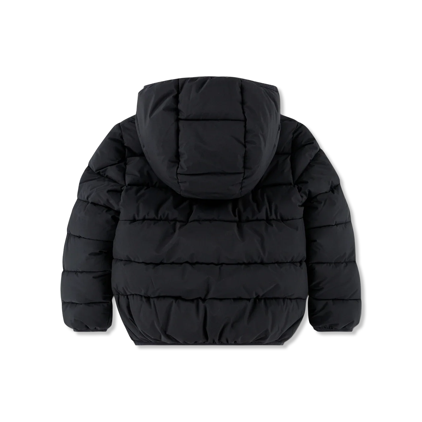 Medium Winter jacket