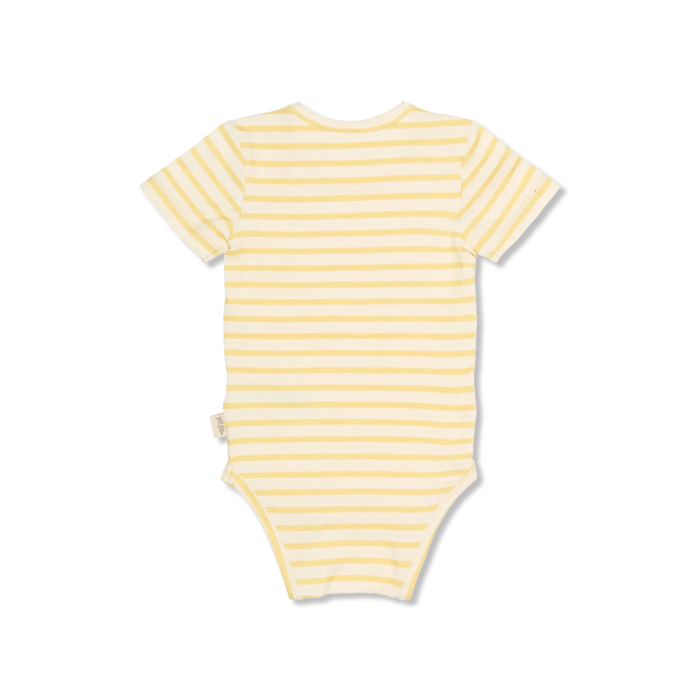 Sun Body