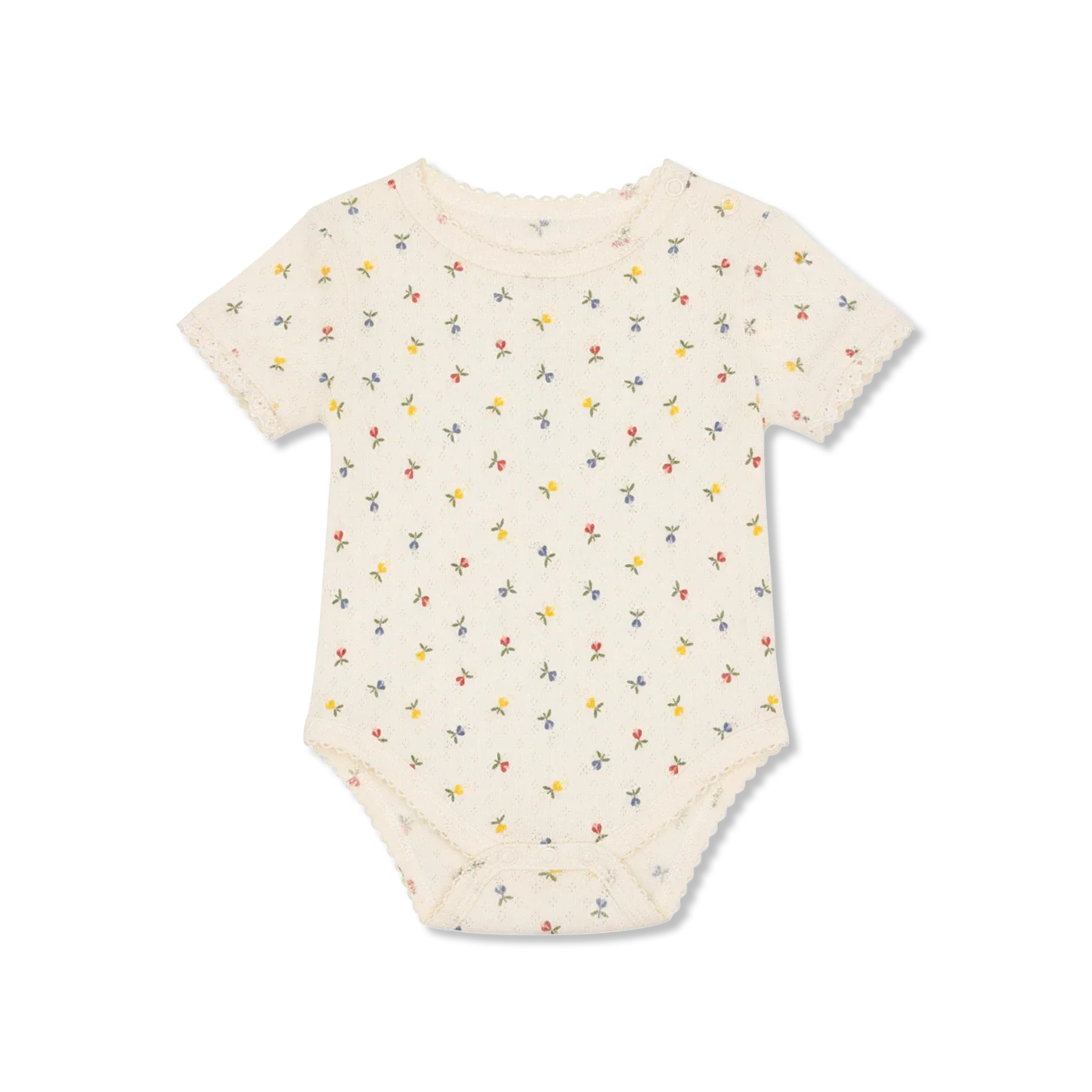 Pointelle multi Body