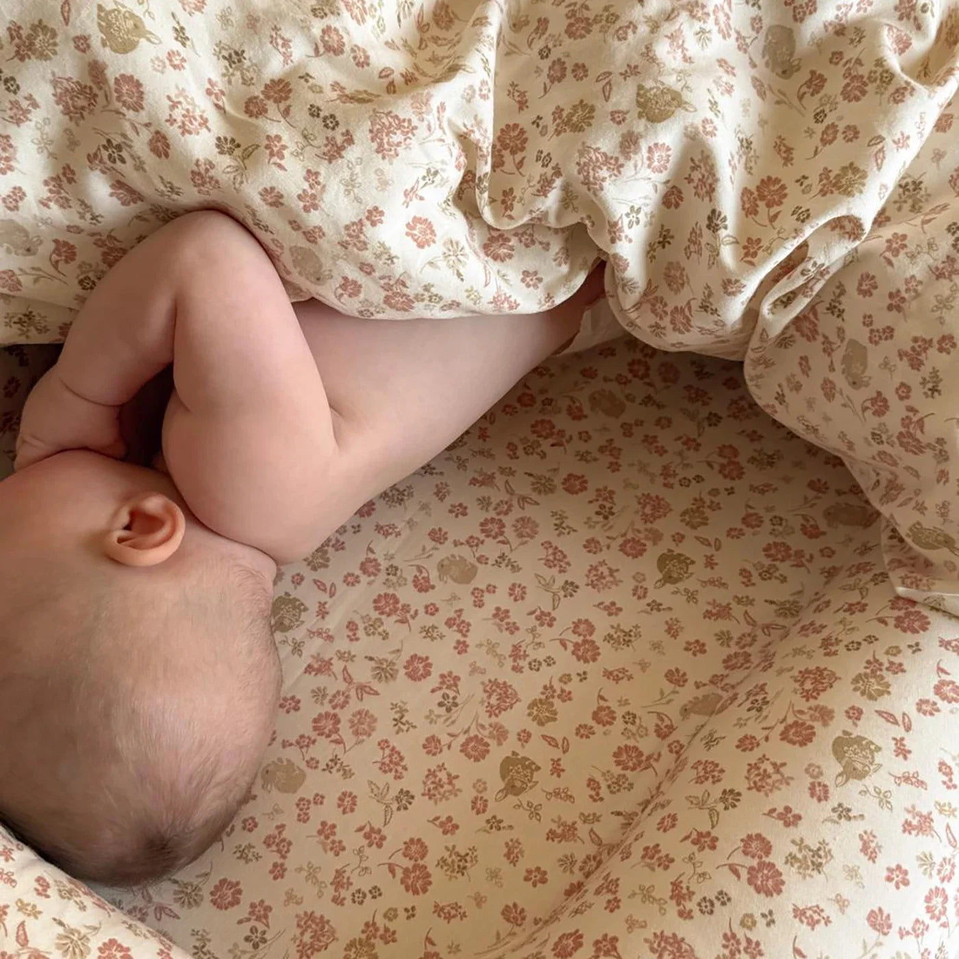 Augusta Baby nest